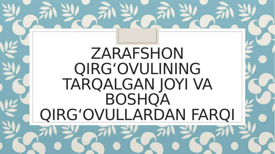 Zarafshon qirgʻovulining tarqalgan joyi va boshqa qirgʻovullardan farqi