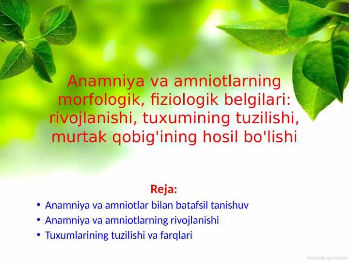 Anamniya va amniotlarning morfologik, fiziologik belgilari: rivojlanishi, tuxumining tuzilishi, murtak qobig'ining hosil bo'lishi