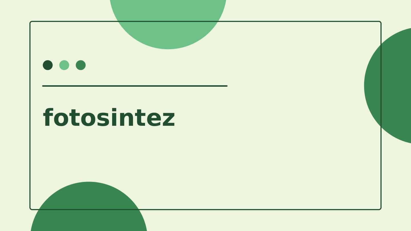 fotosintez