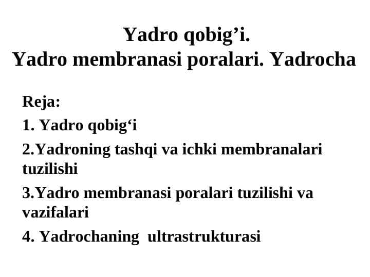 Yadro qobig’i. Yadro membranasi poralari. Yadrocha
