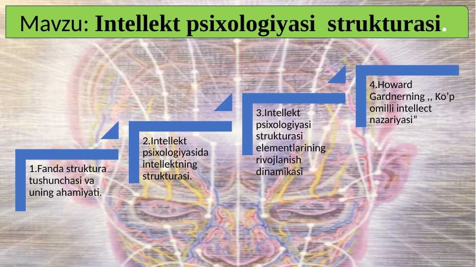 Intellekt psixologiyasi  strukturasi 20.pptx