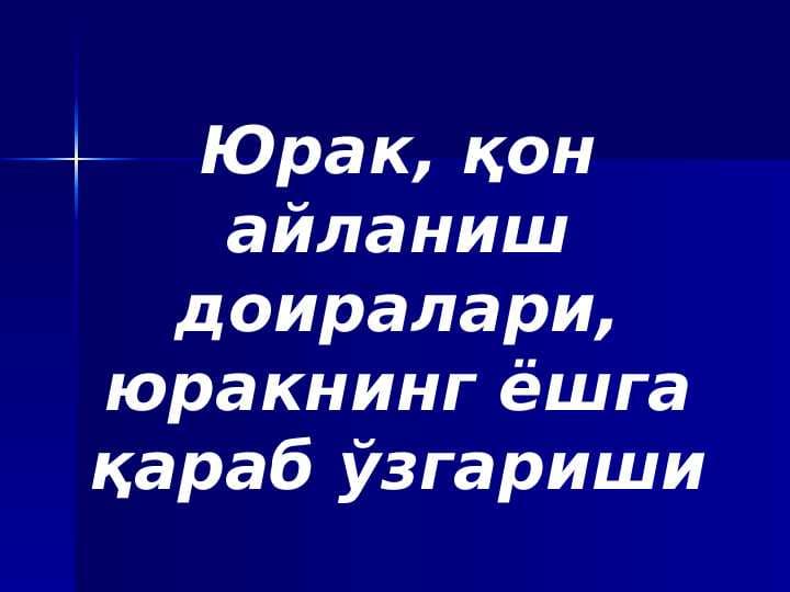 Yurak qon aylanish doiralari