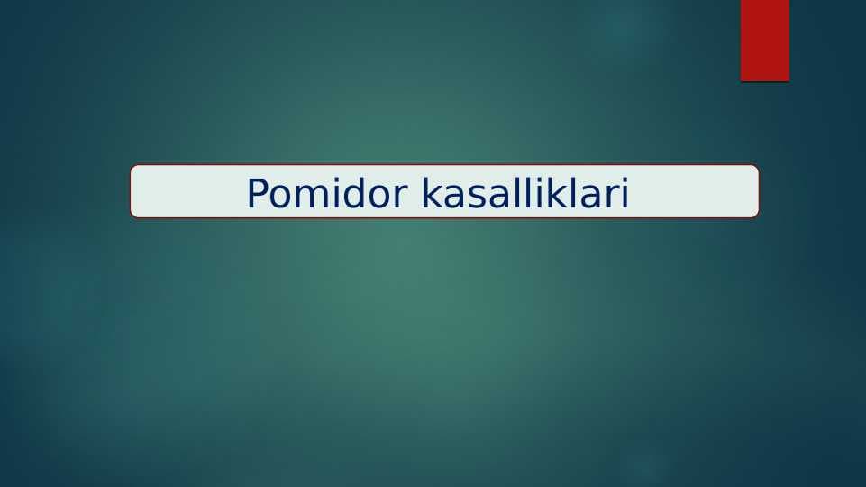 Pomidor kasalliklari