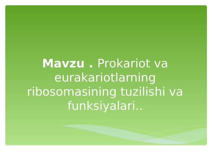 Prоkаriоt vа eurаkаriоtlаrning ribоsоmаsining tuzilishi vа funksiyalаri