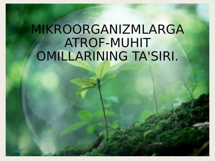 MIKROORGANIZMLARGA Atrof-muhit OMILLARINING TA'SIRI.