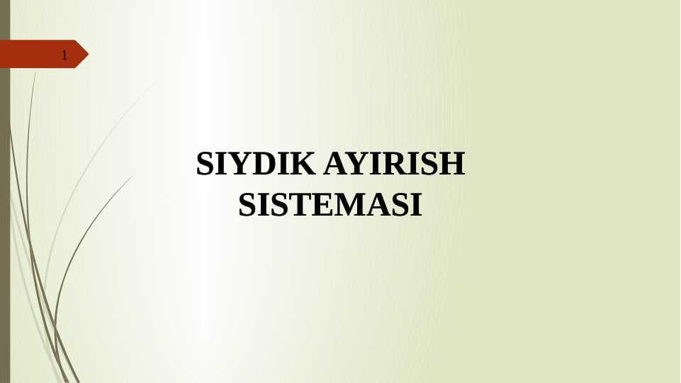 SIYDIK AYIRISH SISTEMASI