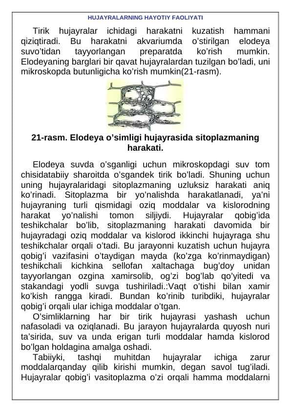 HUJAYRALARNING HAYOTIY FAOLIYATI