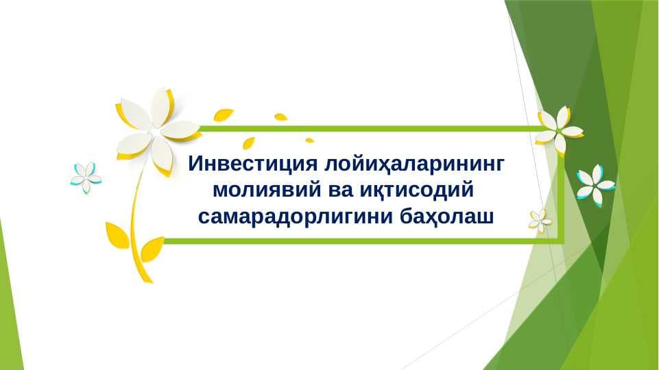 Investitsiya loyihalarining moliyaviy va iqtisodiy samaradorligini baholash