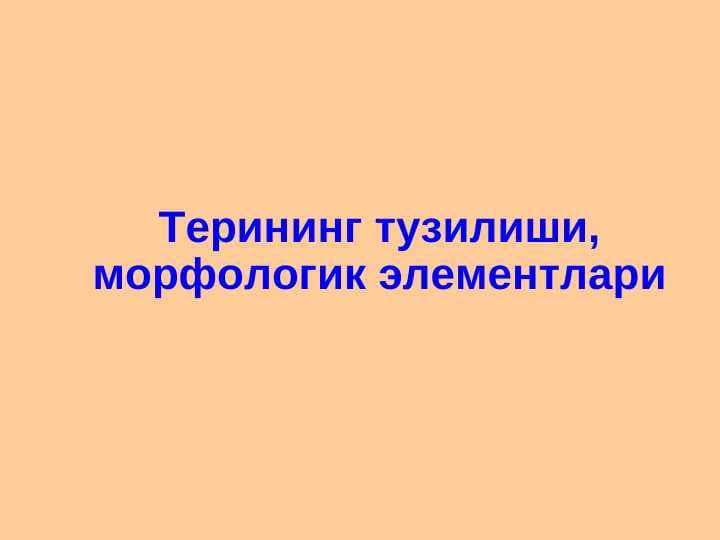 QO`TIR. TERI TUZILISHI VA MORFOLOGIK ELEMENTLARI