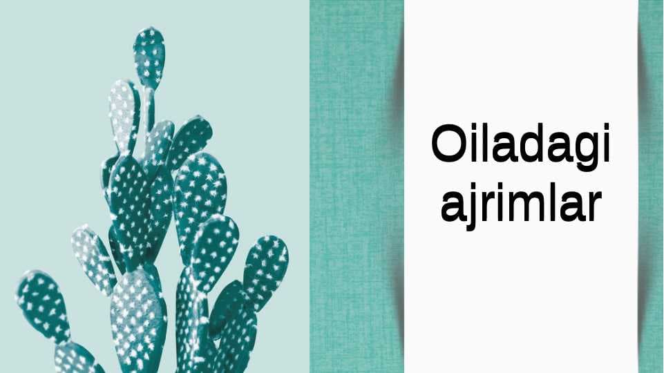 Oiladagi ajrimlar