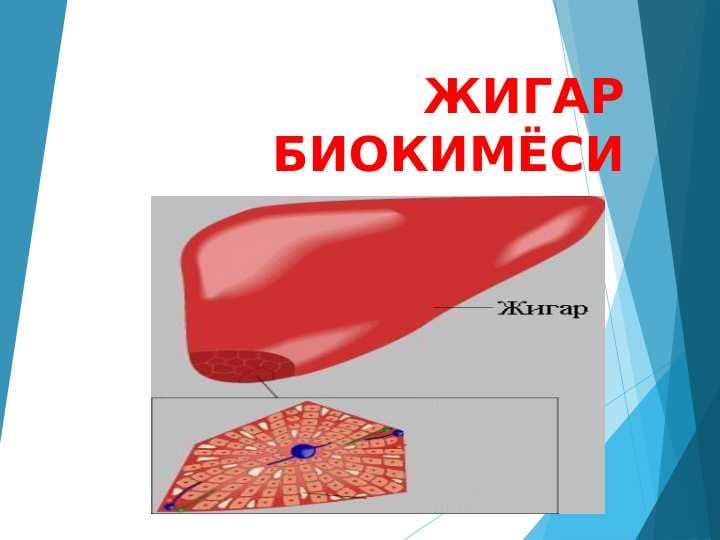 Jigar biokimyosi . ЖИГАР БИОКИМЁСИ