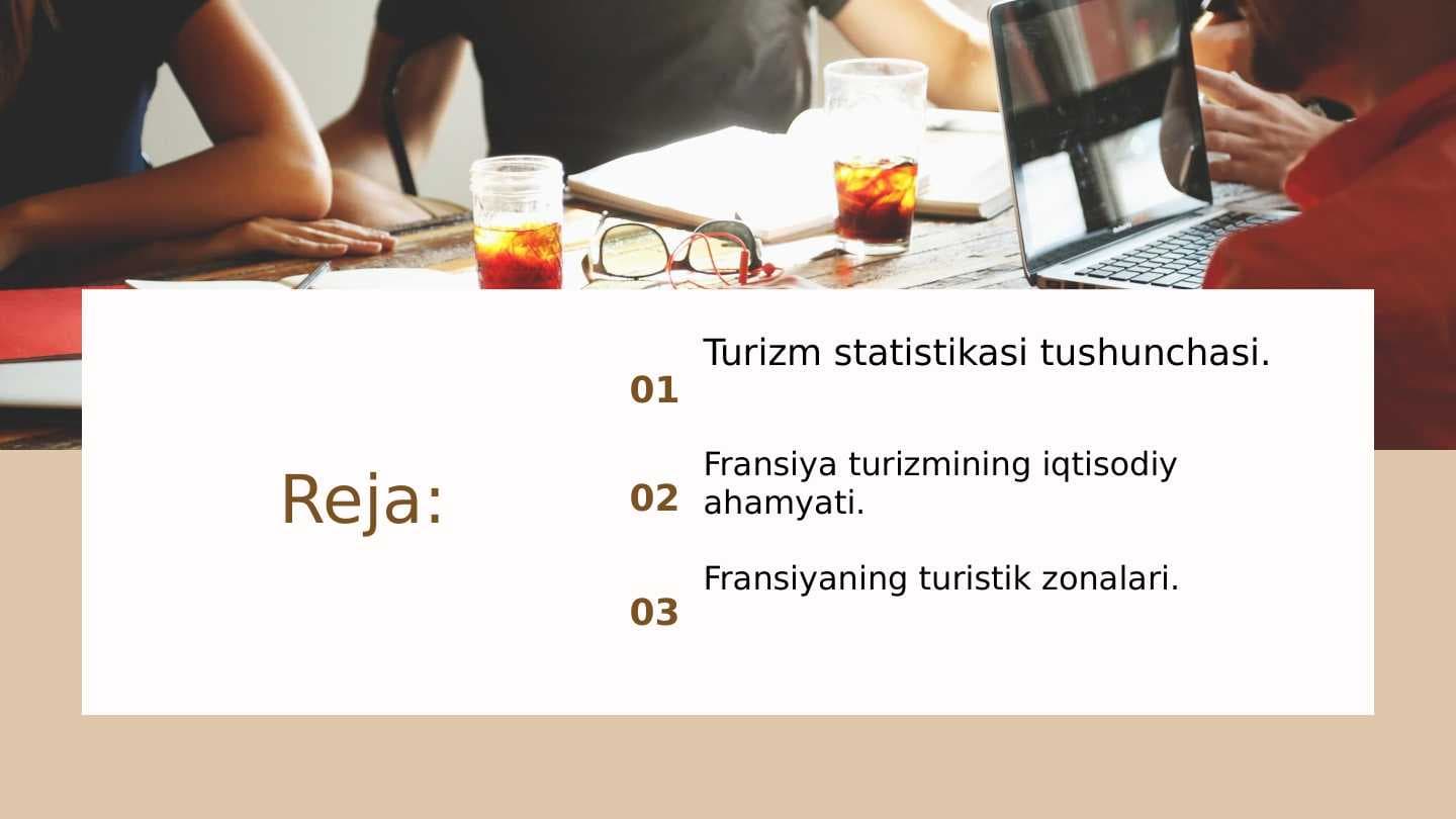 Turizm. Fransiya misolida