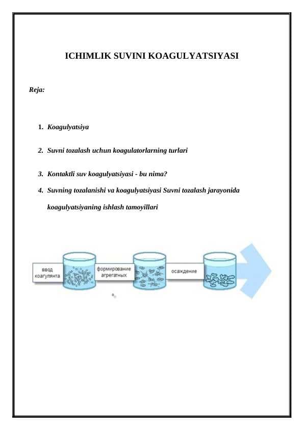ICHIMLIK SUVINI KOAGULYATSIYASI