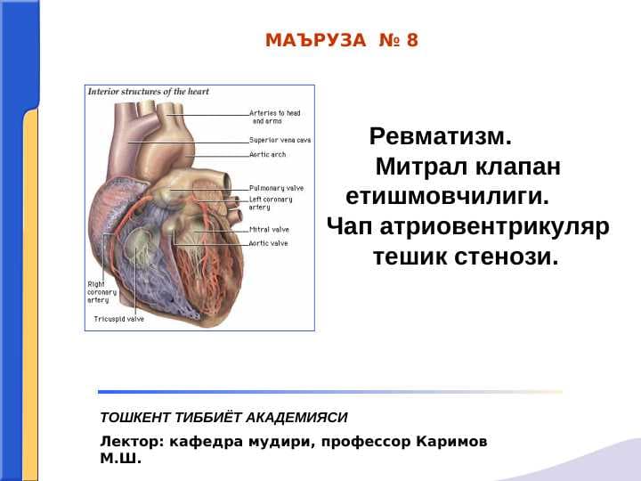 Revmatizm . Mitral klapan yetishmovchilgi . Chap artrioventrikulyar teshik stenozi