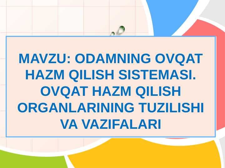 ODAMNING OVQAT HAZM QILISH SISTEMASI