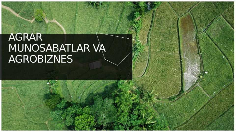 AGRAR  MUNOSABATLAR VA  AGROBIZNES