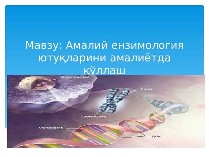 Aмалий ензимология ютуқларини амалиётда қўллаш