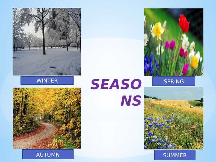 SEASONS