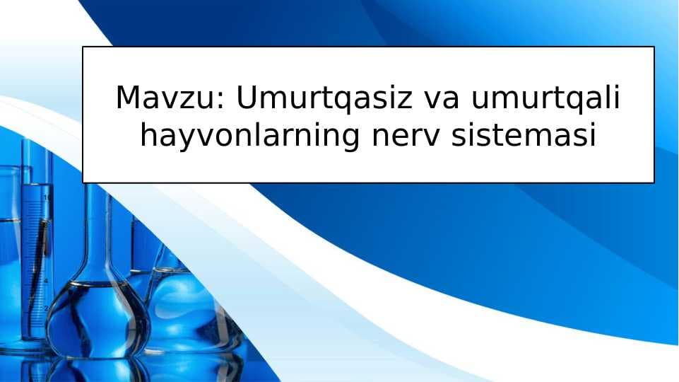 Umurtqasiz va umurtqali hayvonlarning nerv sistemasi