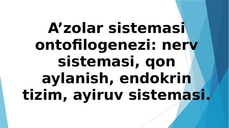 A’zolar sistemasi ontofilogenezi: nerv sistemasi, qon aylanish, endokrin tizim, ayiruv sistemasi.