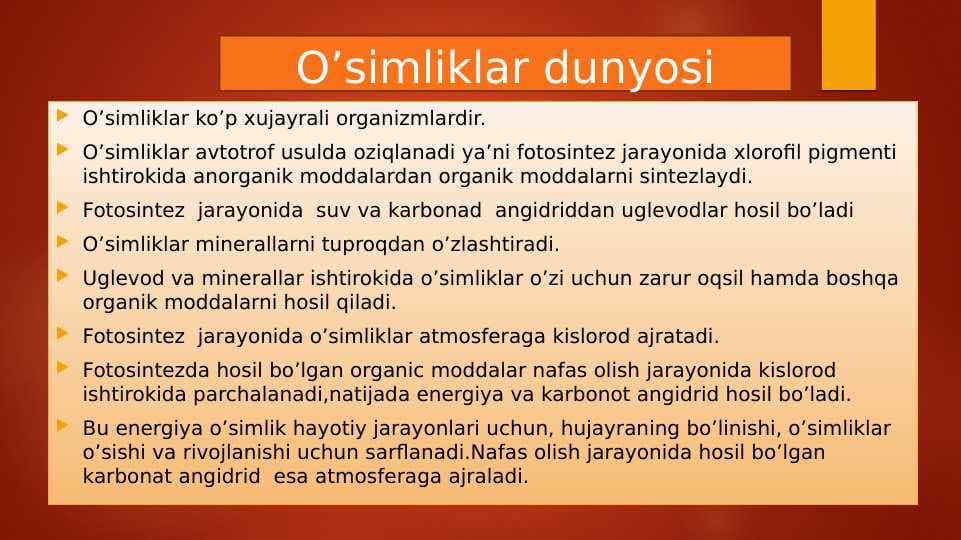 O’simliklar dunyosi
