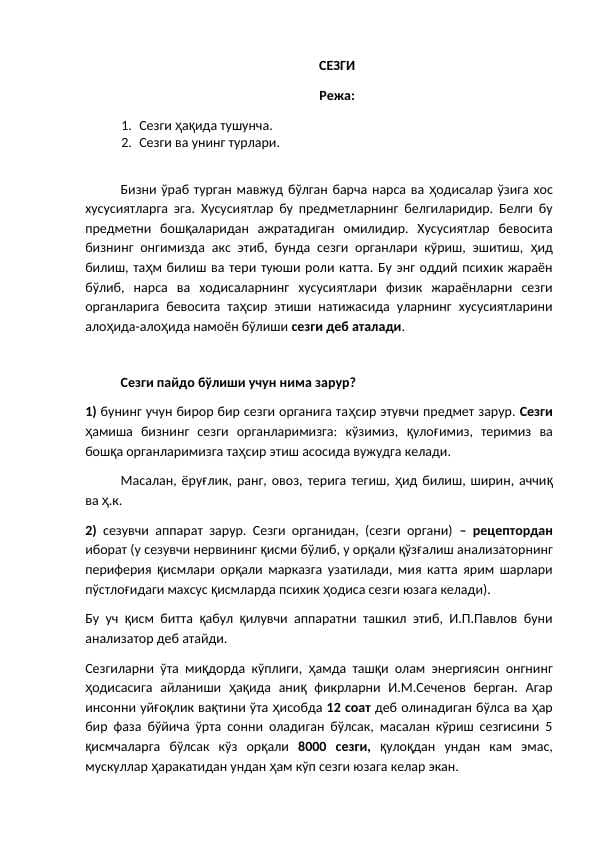 Sezgi