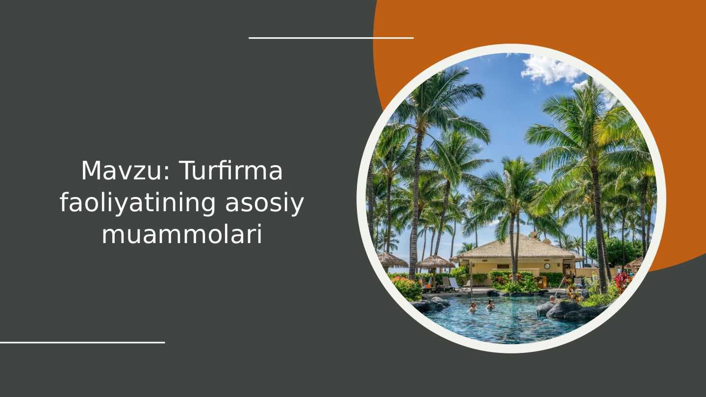 Turfirma faoliyatining asosiy muammolari