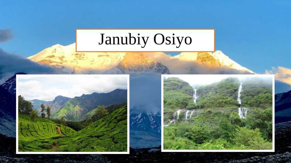 Janubiy Osiyo