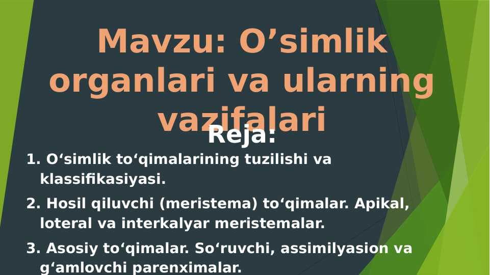 O’simlik organlari va ularning vazifalari