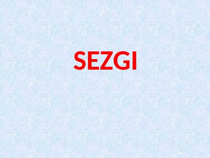 Sezgi