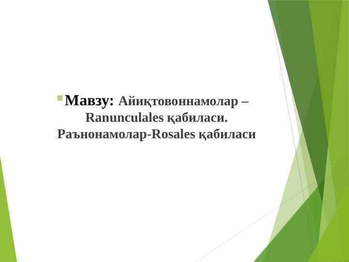 Айиқтовоннамолар –Ranunculales қабиласи. Раънонамолар-Rosales қабиласи