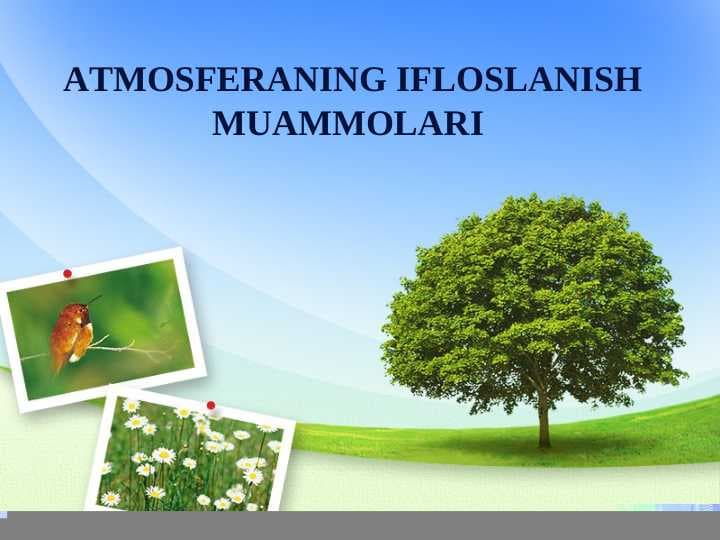 ATMOSFERANING IFLOSLANISH MUAMMOLARI