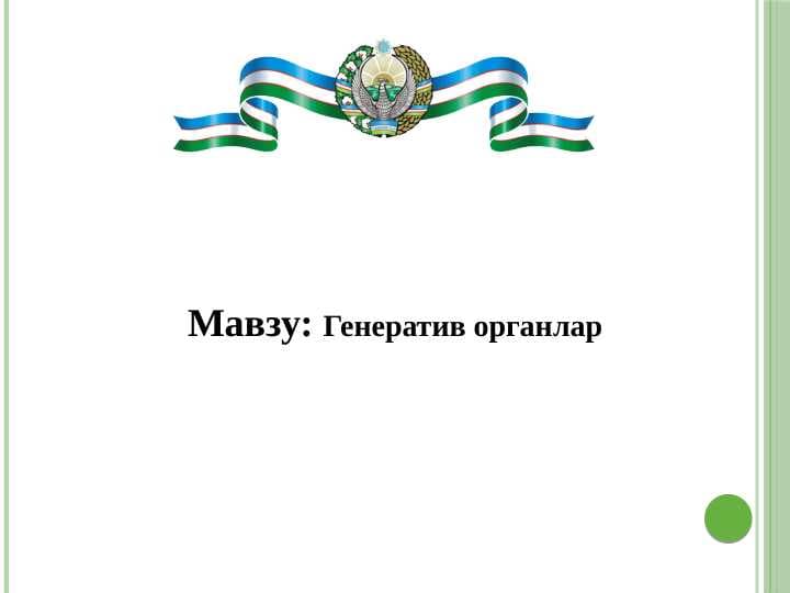 Генератив органлар
