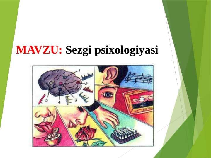 Sezgi psixologiyasi (TAQDIMOT)