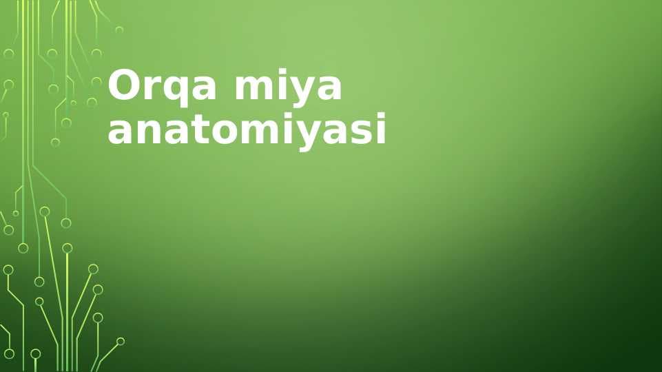 Orqa miya anatomiyasi