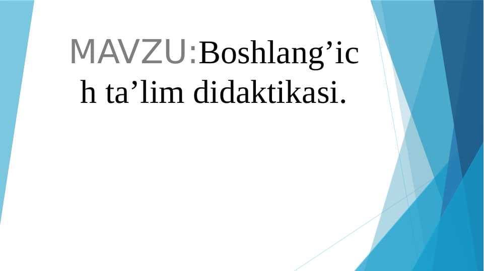 Boshlang’ich ta’lim didaktikasi