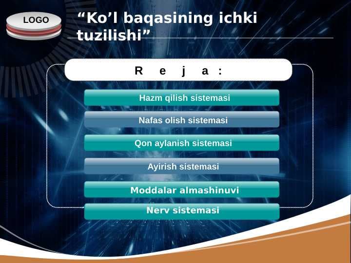 Ko’l baqasining ichki tuzilishi