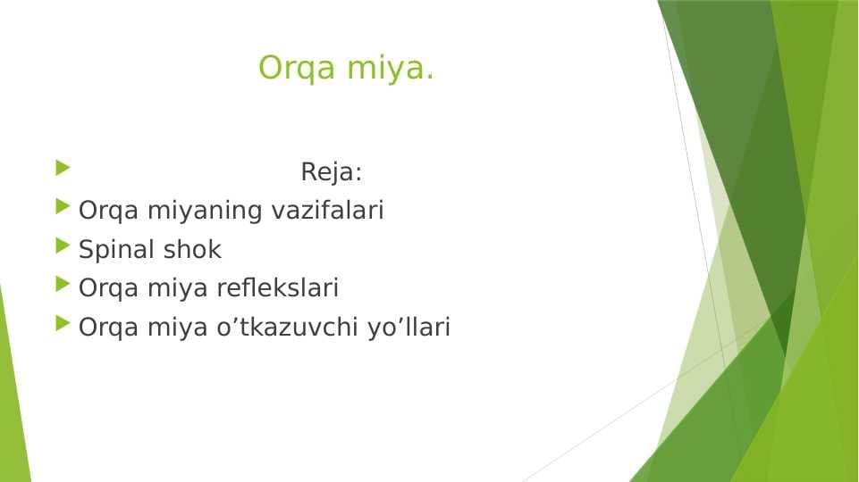 Orqa miya