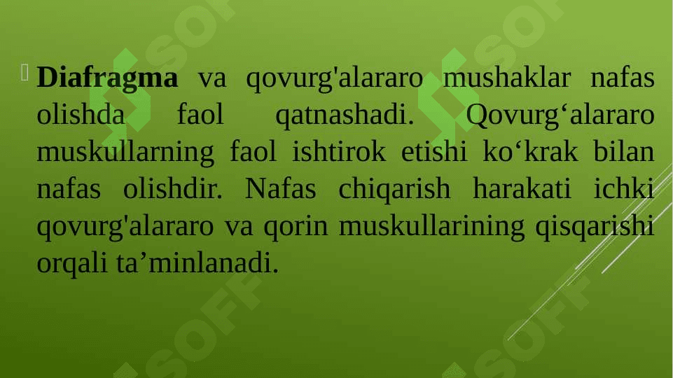 Ovoz buzilishlari  uning sabablari va mexanizmi.