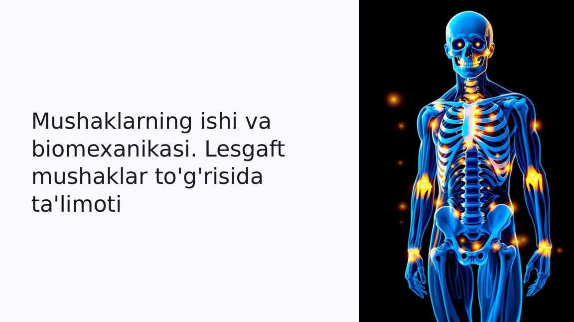 Mushaklarning ishi va biomexanikasi. Lesgaft mushaklar to'g'risida ta'limoti