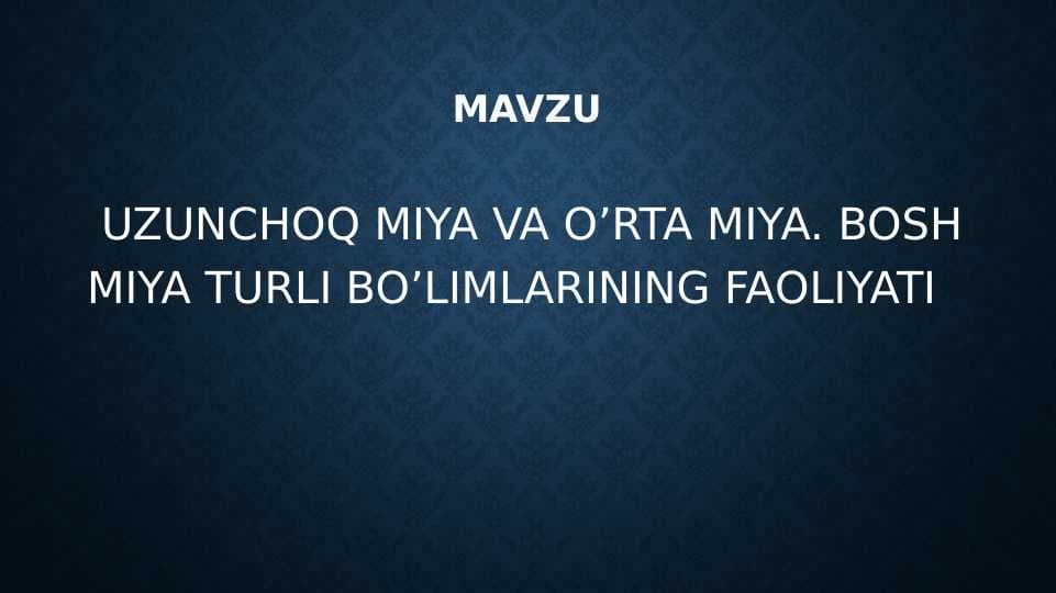 UZUNCHOQ MIYA VA O’RTA MIYA. BOSH MIYA TURLI BO’LIMLARINING FAOLIYATI