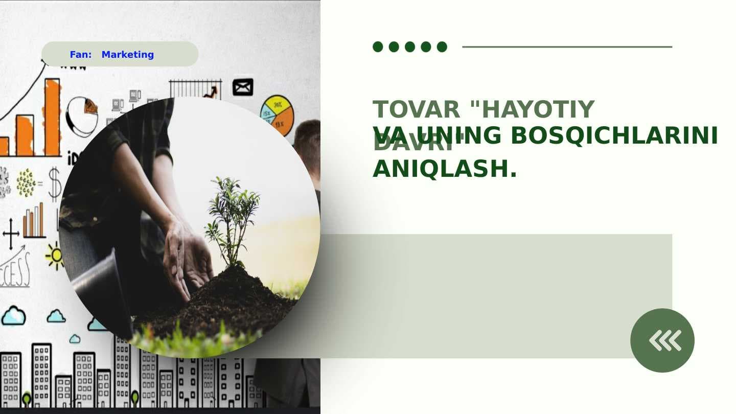 Tovar hayotiylik davri va uning bosqichlari