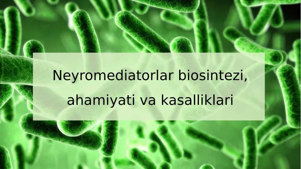 Neyromediatorlar biosintezi, ahamiyati va kasalliklari