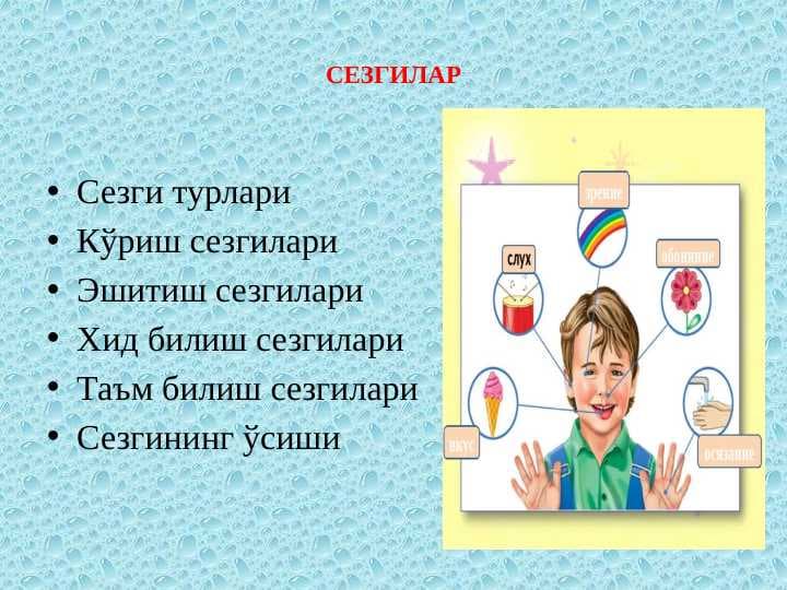 СЕЗГИЛАР