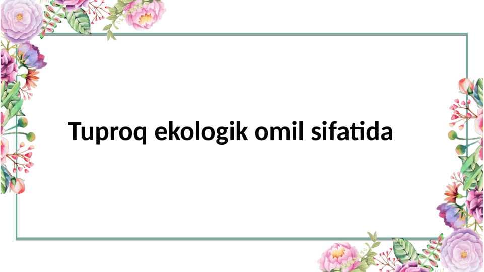 Tuproq ekologik omil sifatida
