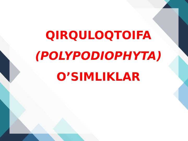 QIRQULOQTOIFA (POLYPODIOPHYTA)O’SIMLIKLAR