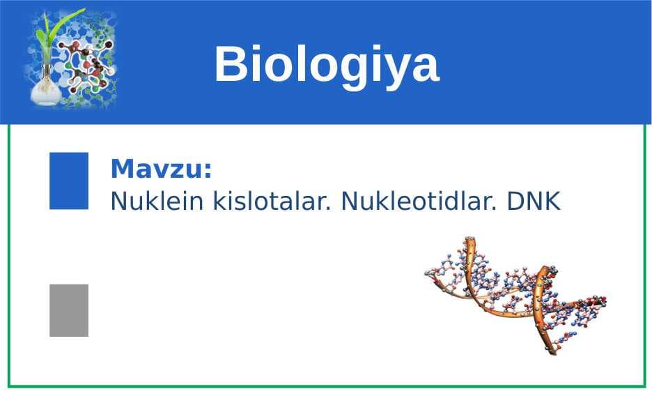 Nuklein kislotalar. Nukleotidlar. DNK