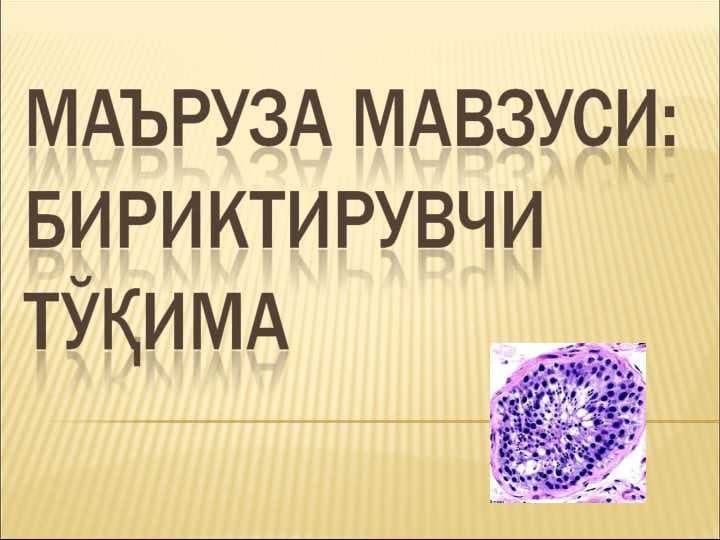 Бириктирувчи тукима