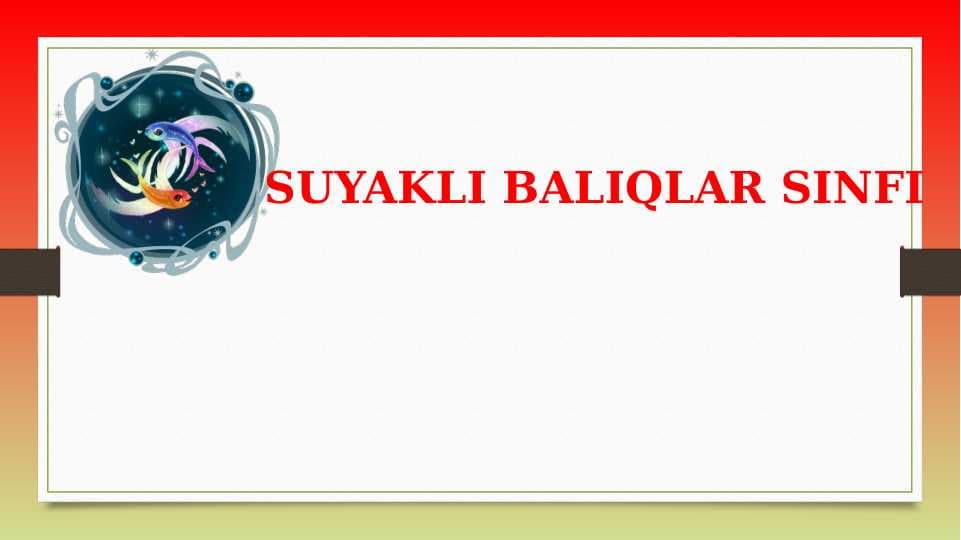 SUYAKLI BALIQLAR SINFI