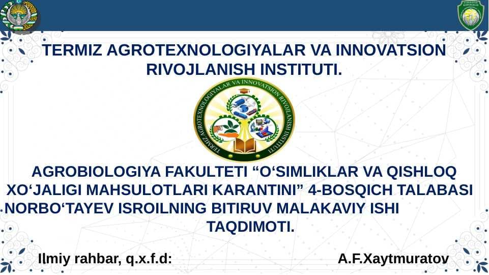 BITIRUV MALAKAVIY ISHI TAQDIMOTI. Pomidor kuyasi